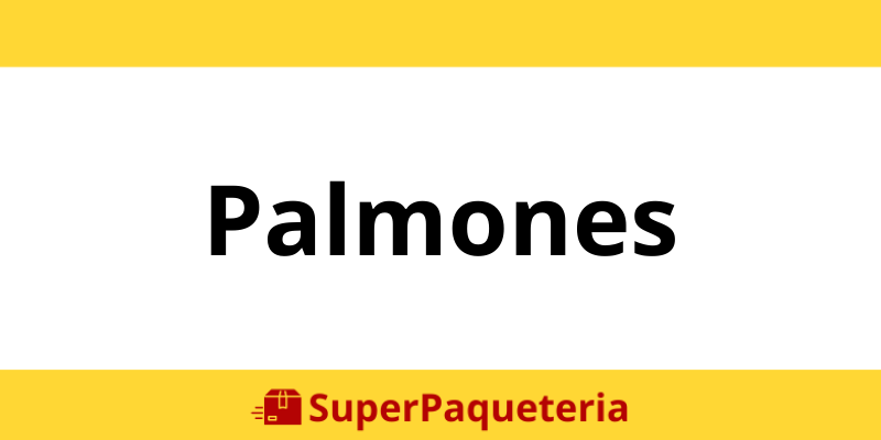 Teléfono oficina DHL Express Palmones